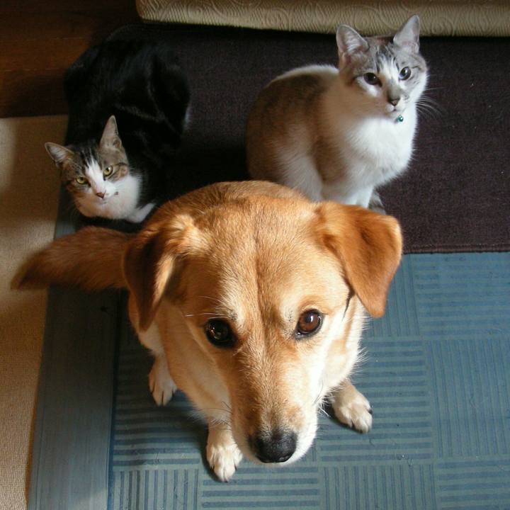 0ad14da0 3400 4570 8d37 cab577e213d4