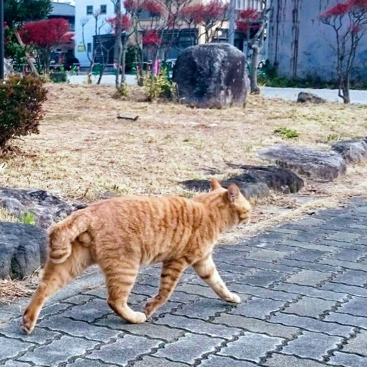 0ad15a04 13f0 43e8 b768 69b6355b1f40