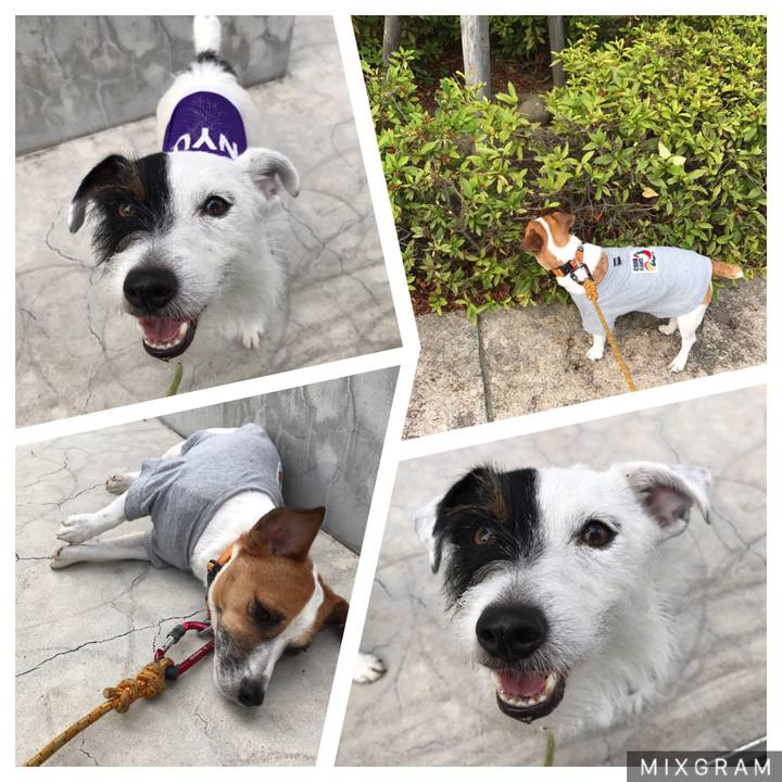 0ad1cb17 1d71 41ca ad84 3fe2b97df248