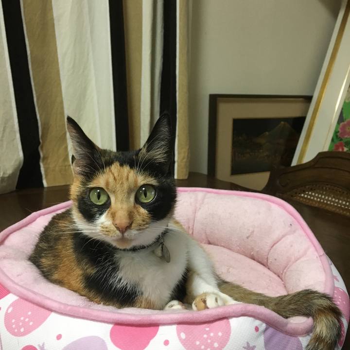 0ad2be98 62bf 483c b0ef 5a22a969742c