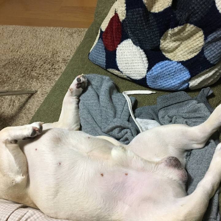 0ad34acf 8843 4954 866f 4bc6a5521bd9