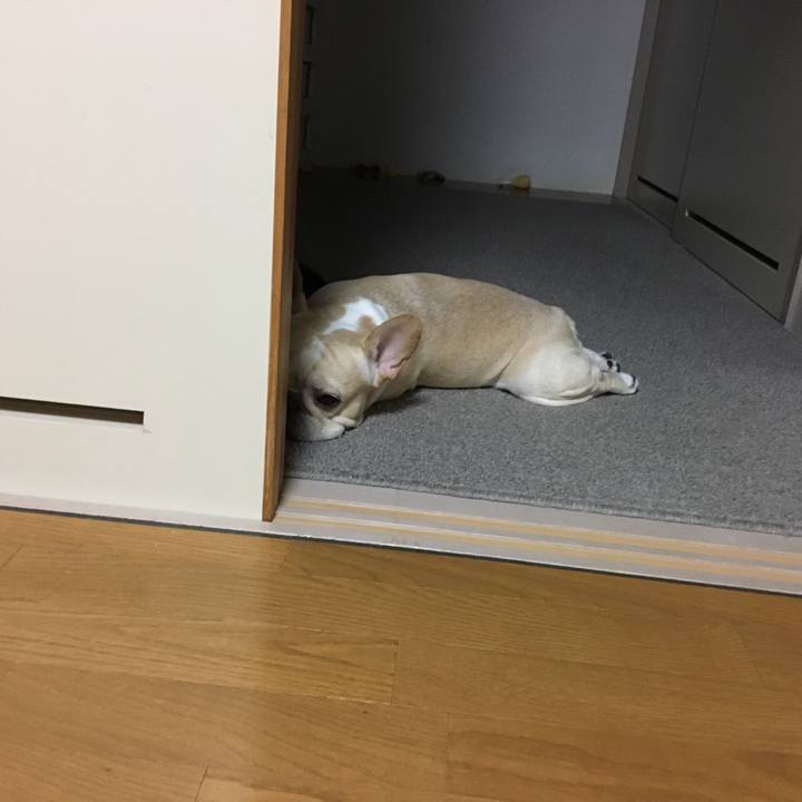 0ad4547f 5af7 4b49 ad7c 751bce71fa0c