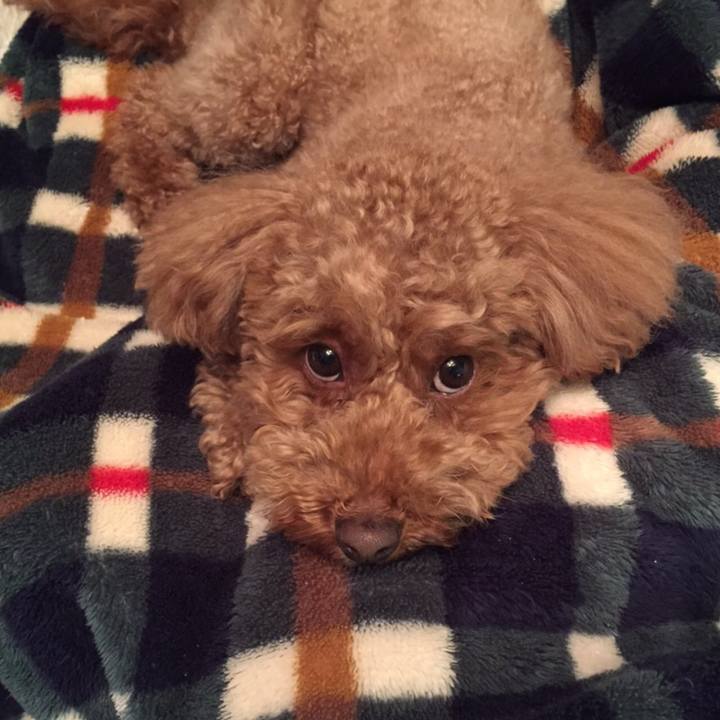 0ad4f463 4961 4bcb ae9a 104003505245