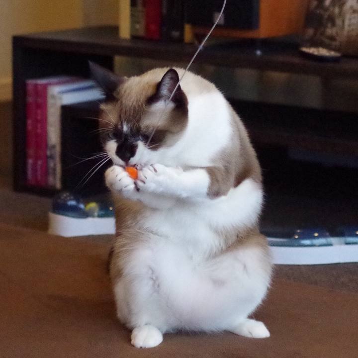 0ad51130 cae4 4a10 b52f b85ce4f9b123