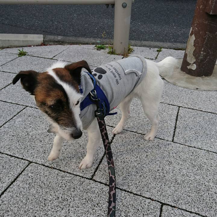 0ad561c4 153a 4b91 b0d1 24067fe7cac6