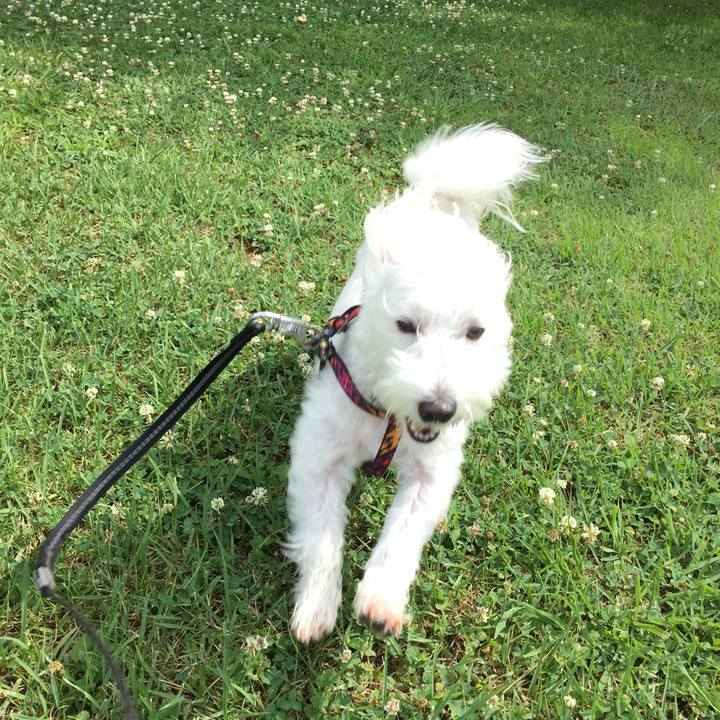 0ad5ef66 f37e 4484 9f3b b73cbc082c34