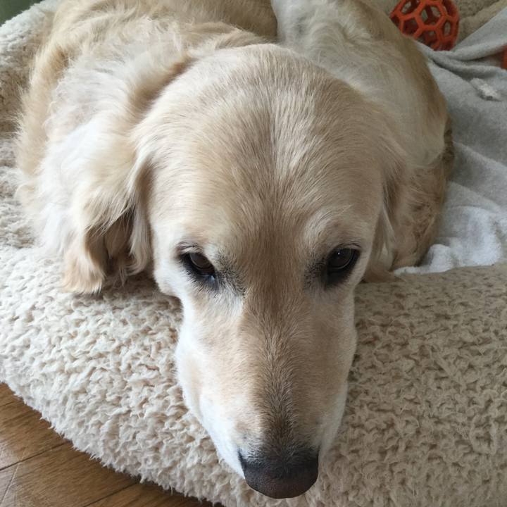 0ad60f12 ac6a 4bc6 bd57 52a10f9c71fe