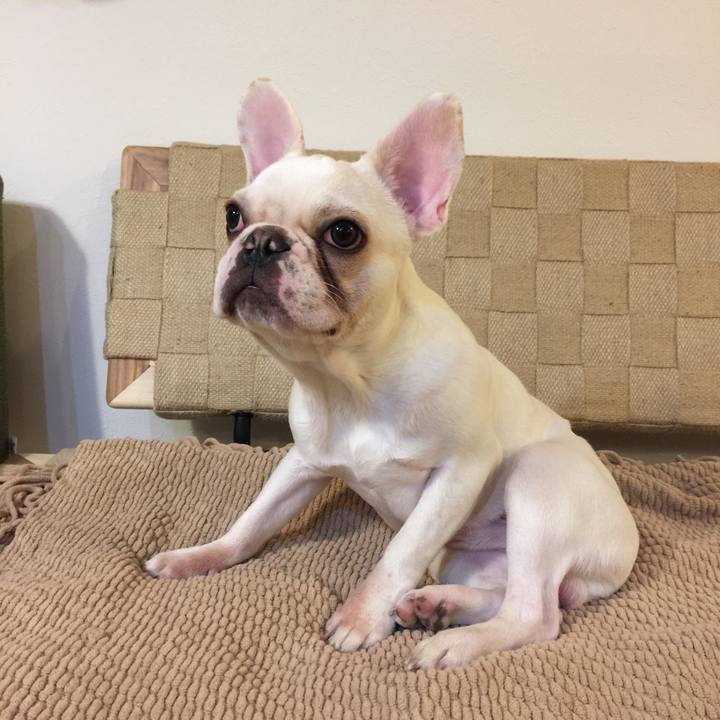 0ad6ae82 b07e 443b ba3e 5c9357c99713