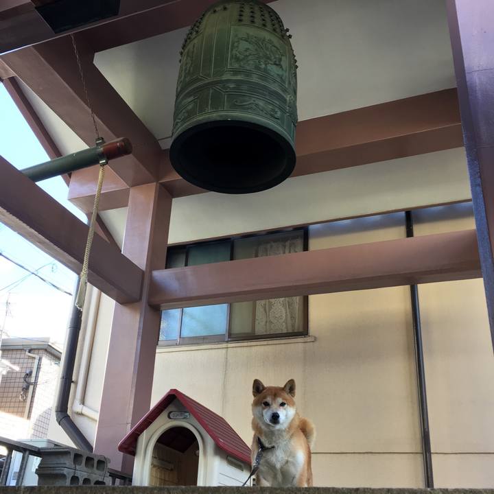 0ad6f3bd ecd0 48db b20c ce38aa18ee19