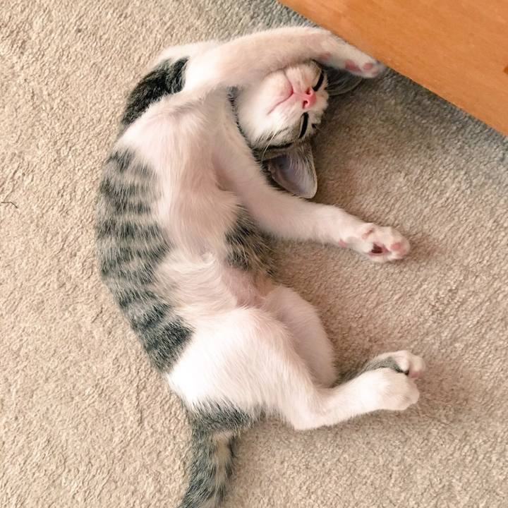 0ad74ae0 b1bc 4b4a 9f7d b6c8b97fe93f