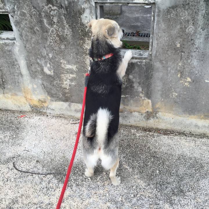 0ad7763b ad1b 40b7 b376 158e63e5e9ab