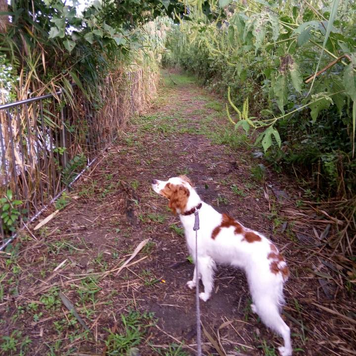 0ad7af56 760b 412b 8682 4c7cff65336b