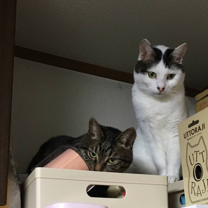 0ada003a ce9a 4ae1 9291 f9effe802df6