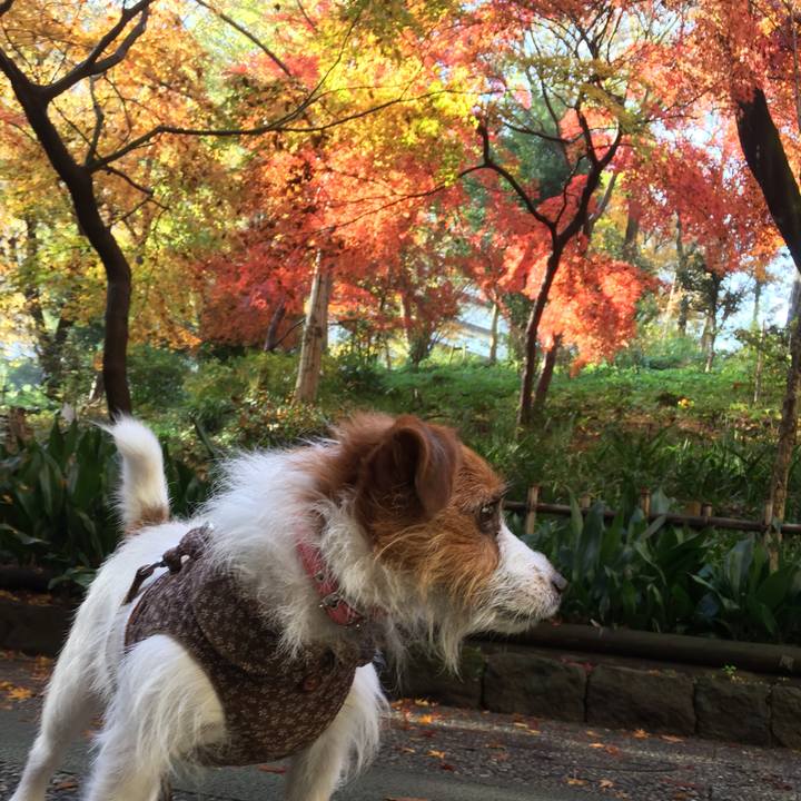 0adb24df 1d8f 4a0c 863b a4c9d3bf38b2