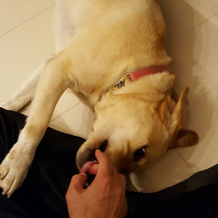 0adbb5ad 1b34 4be9 b678 b5d78a33cd39