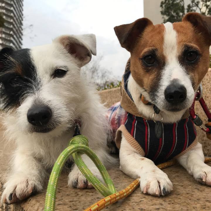 0adbdbea 8b39 4085 89a1 e53b00819146