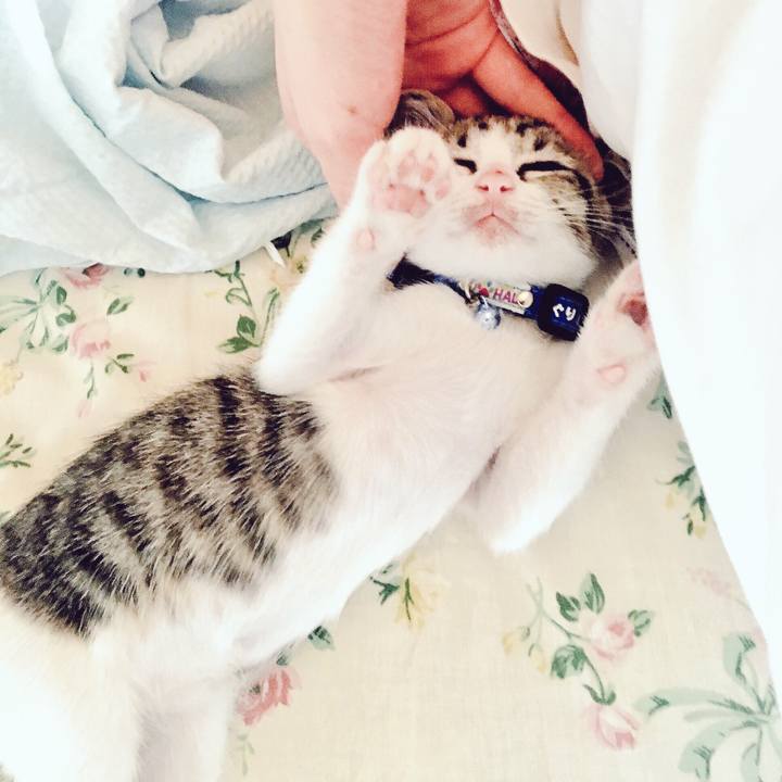 0adc820b 20fe 4eb3 83d5 c01d34a52f09