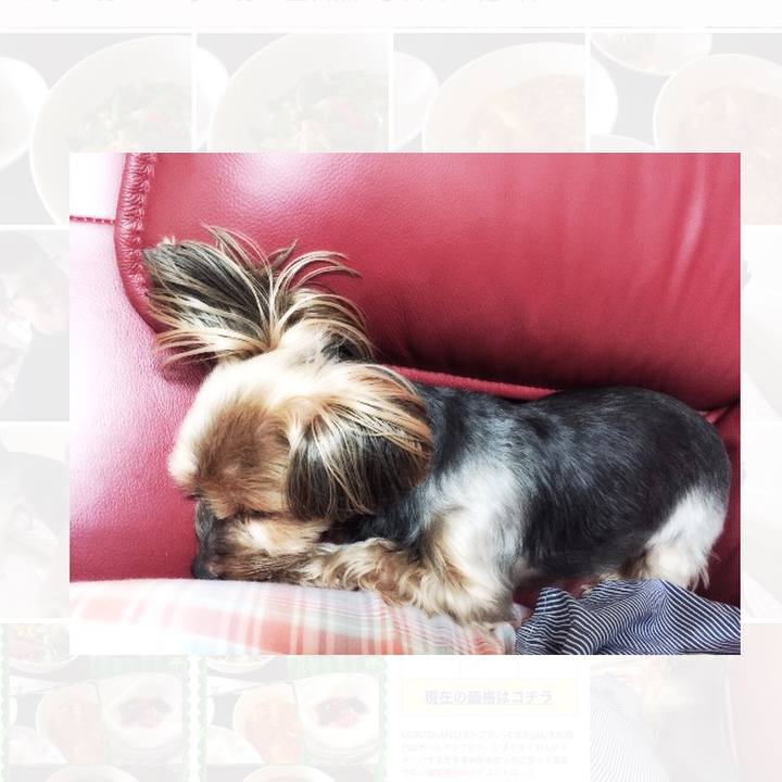 0adce69c 3154 4370 bfa6 6af860201128