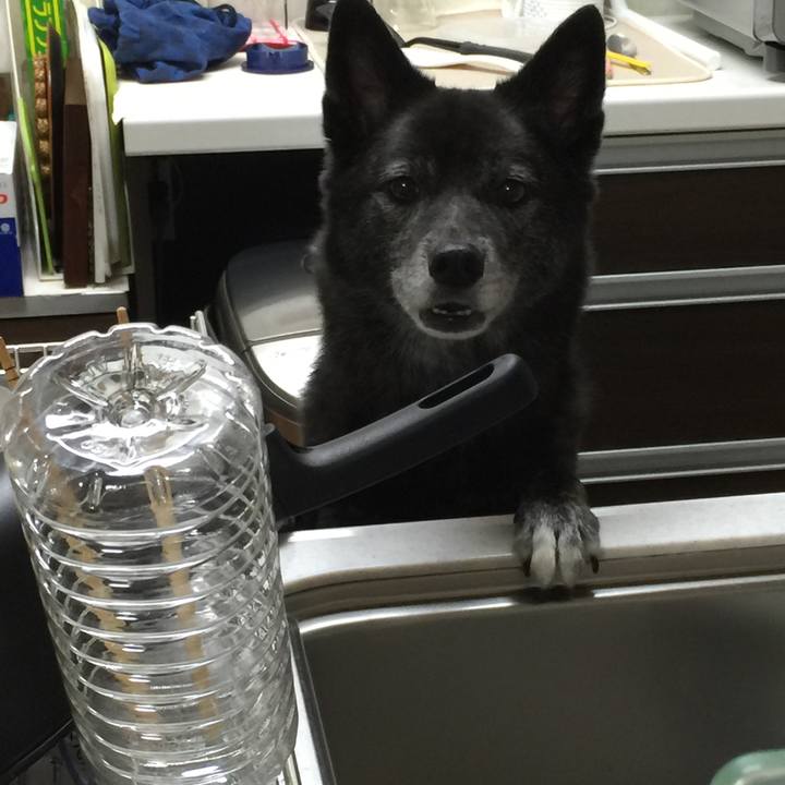 0adcea85 fbda 4cfa 91f3 b3f2930651a0