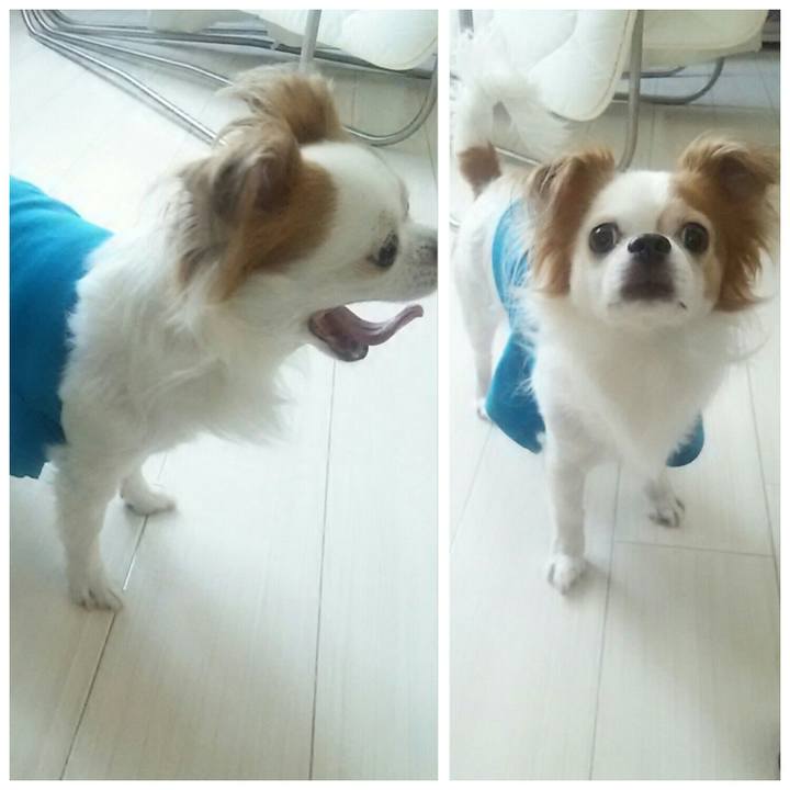 0add7819 9472 485f bb72 1456934f4753