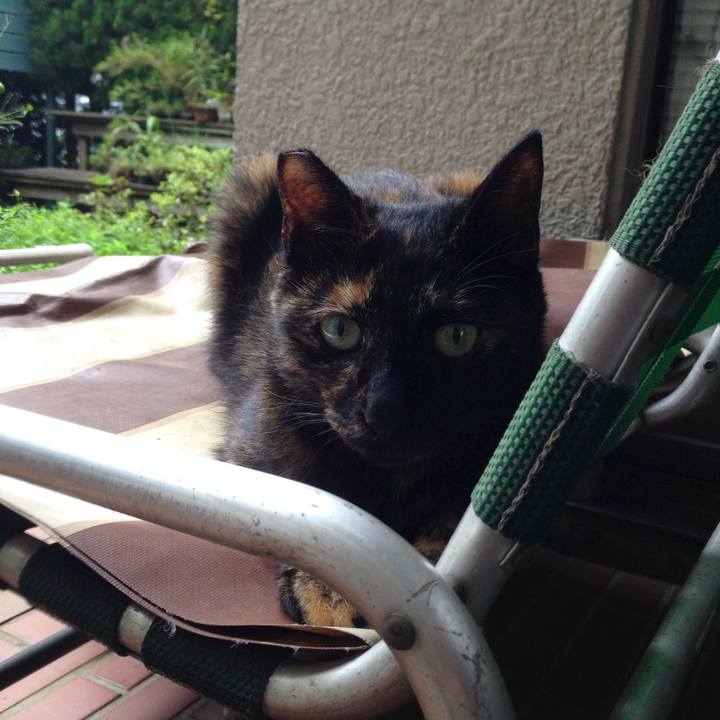 0addee49 93bb 4f57 84d3 c7d72e032eb2