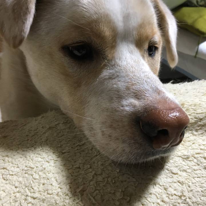 0ade1c67 df95 47f3 9cd6 b93ff90a2be7