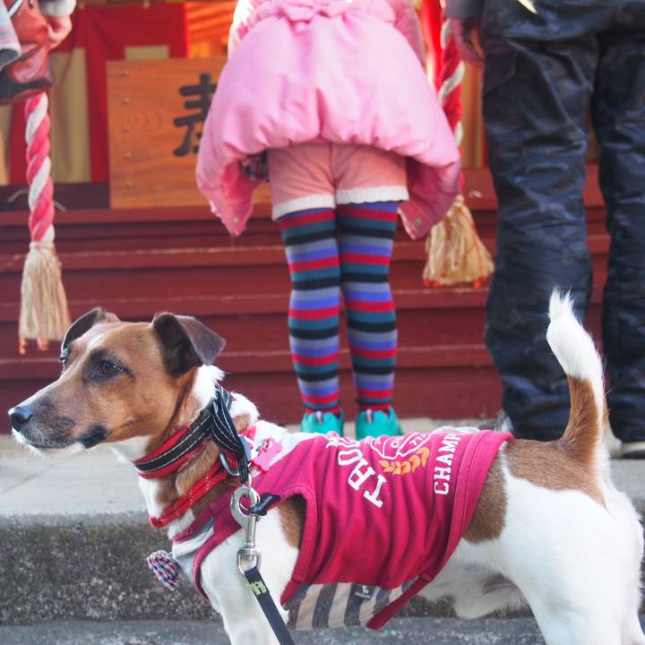 0ade1edc e0e5 4914 a629 456856a7f62b