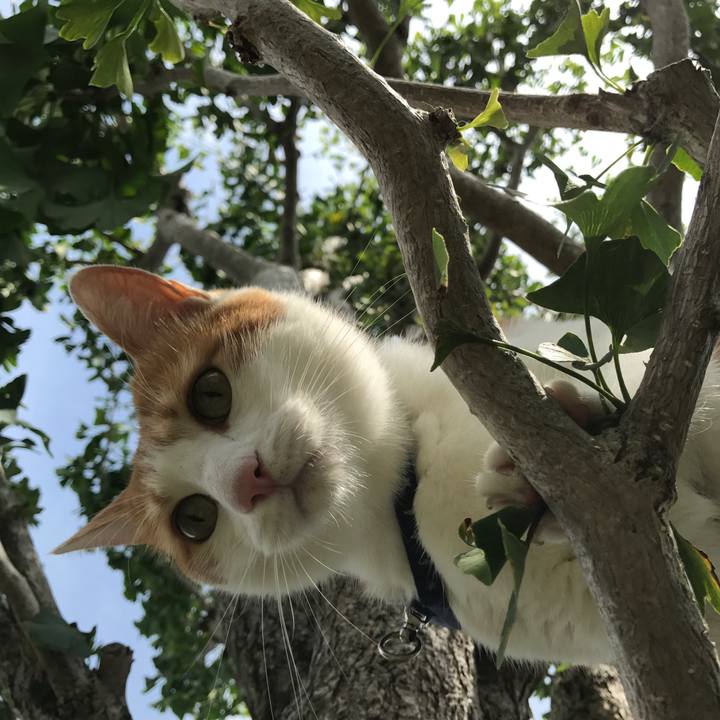 0ade8664 a8f4 4433 a59c de52e559ddcf