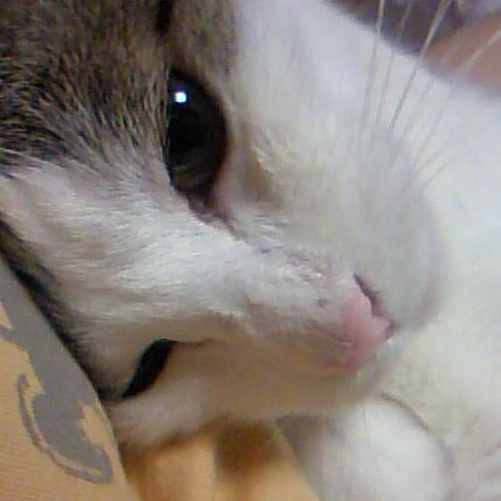 0adf43b2 da4e 4269 81de 6c5f61516abc