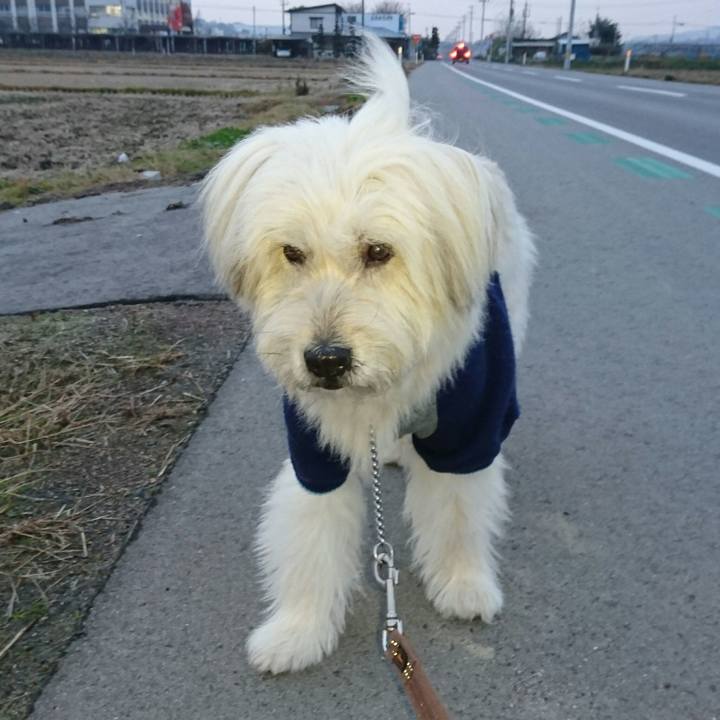 0adf4a49 c585 46e5 ad99 1618beb1cac7