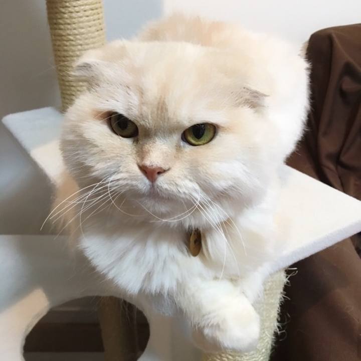 0adf528a bb68 45d6 ad0b 6112e3dbf2e7