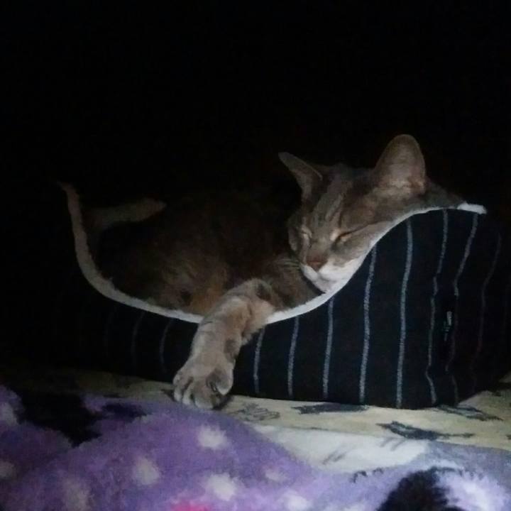 0adf58fb d73c 4688 a876 5b073e5a00a1