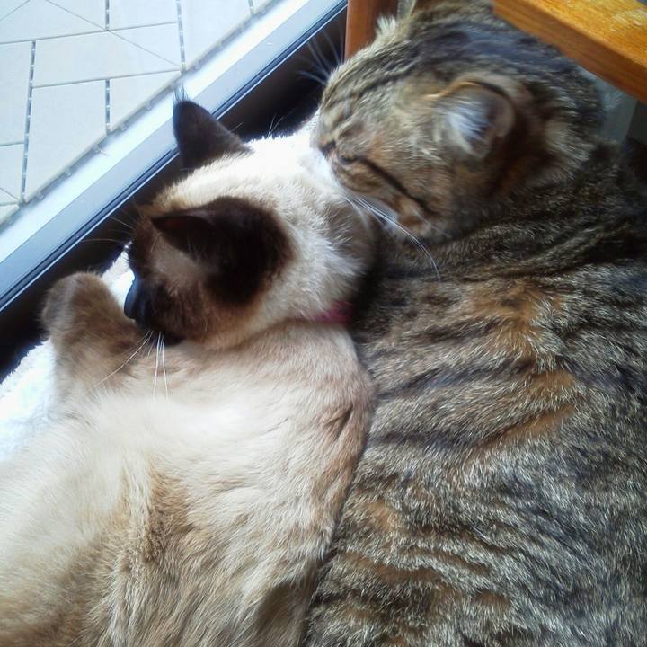 0adf8e6e c1af 4fcd 962e 79b2aa41fa0c