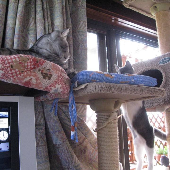 0adfa652 7b13 47b9 b1be fba75c04af2b