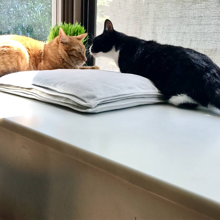 0ae0d7f4 d480 4d36 9f2e 39573613fd89