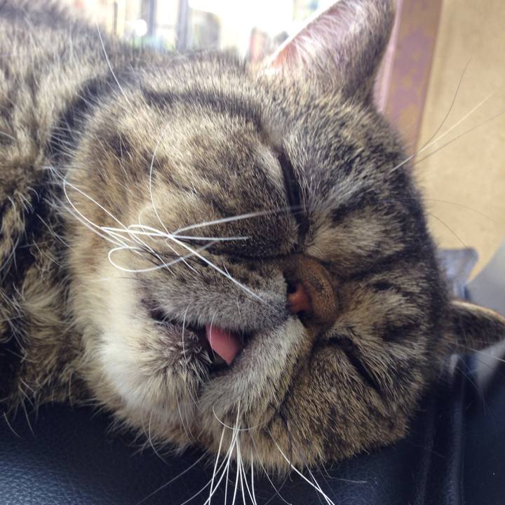 0ae0ea55 51f7 476a 9485 6b252f41f583