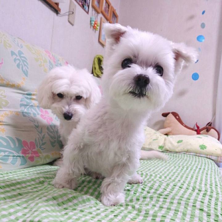 0ae21b87 1ae3 4638 b8b7 f86e7393fb92