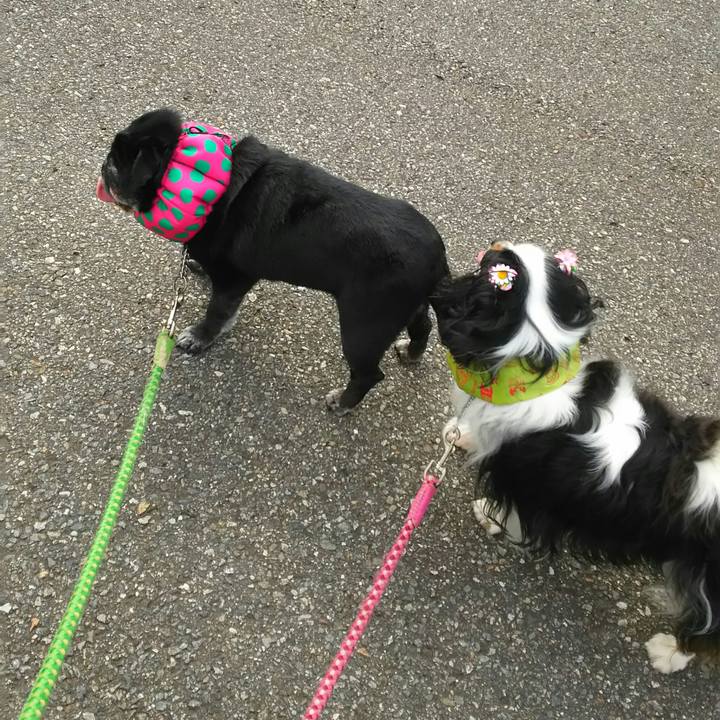 0ae21c15 6e49 4046 8fef d26277d9834c