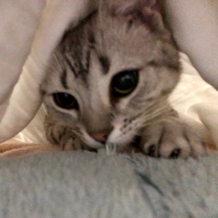 0ae266c7 b277 41a5 ab61 ca2e2efbdaa2