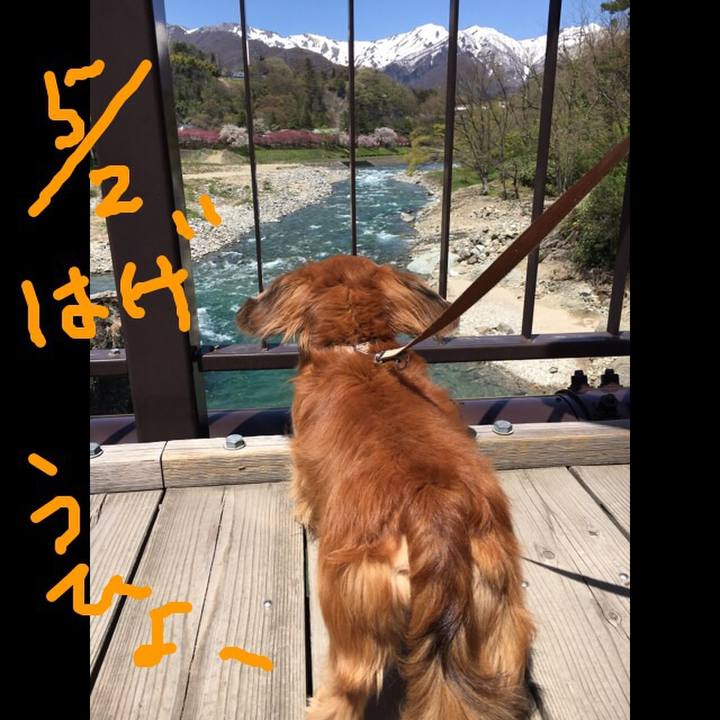 0ae2a0ec 2106 4e67 b916 0fc5da090738