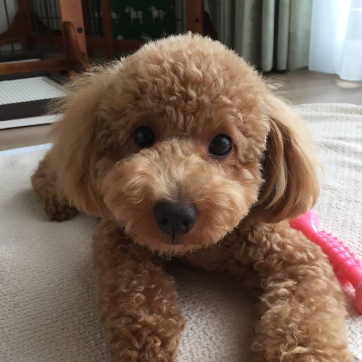 0ae2c148 5dea 4c19 8956 5d2fcb3fcab8