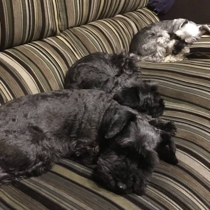 0ae326f2 e4cb 4d27 87cf 6d5b1639cc7b