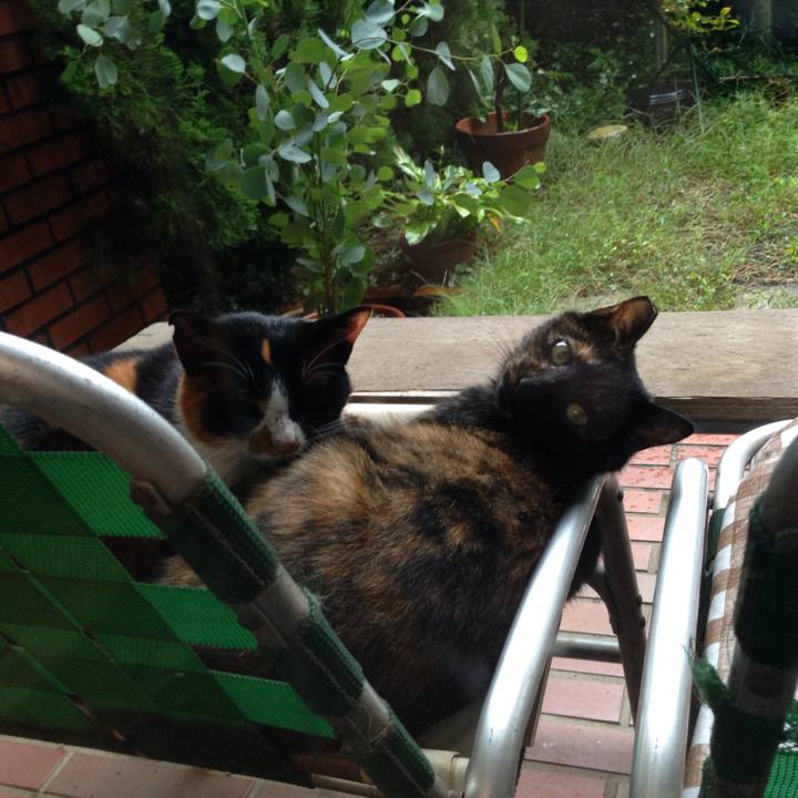 0ae33dca 1e0e 45ef a940 82e66e626745