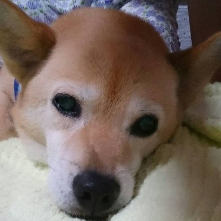 0ae57c67 4c4a 4a70 b703 e07668ec6f24