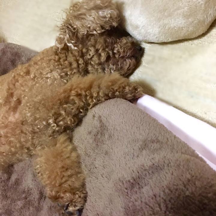 0ae5ac9c 7b82 4b32 bdb4 02e7f5a0859b