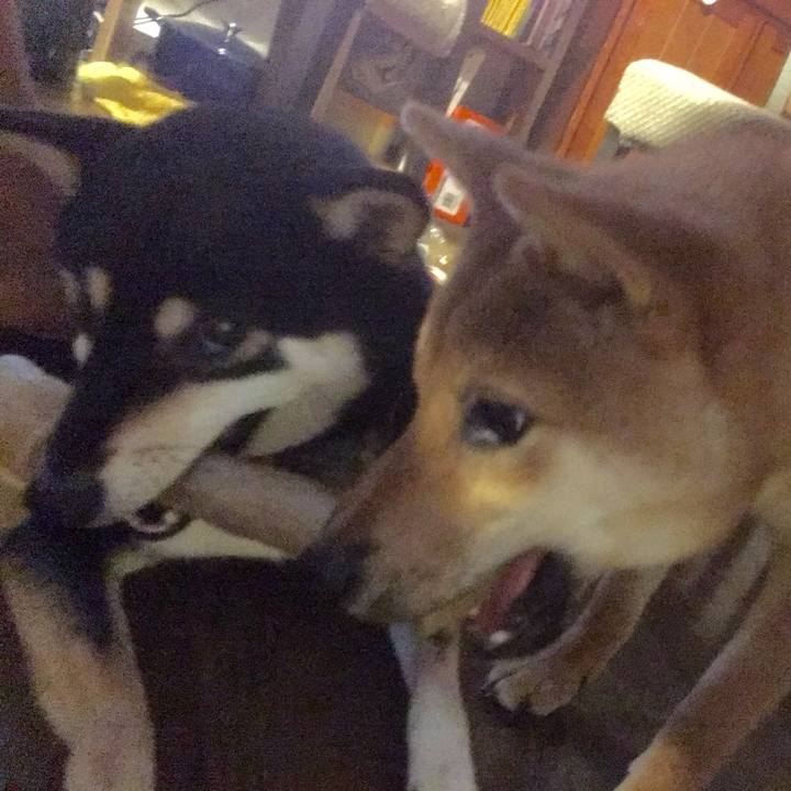 0ae5dd1f aa5e 47a4 bc70 8c4aba571970