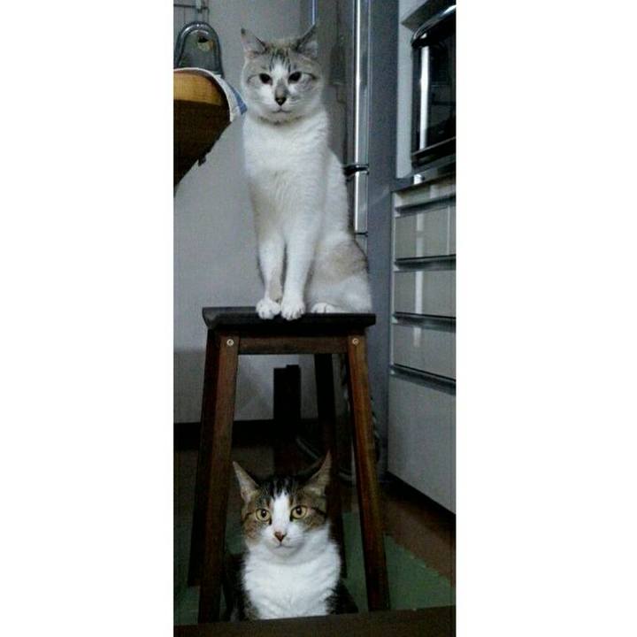 0ae6895a 252e 4d6d a661 59c7f3fbc630