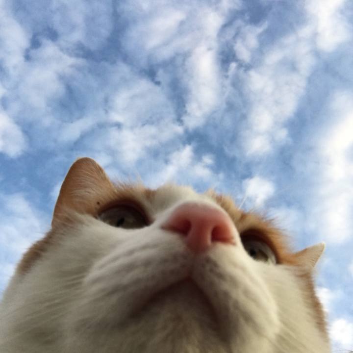 0ae6b61b efb9 46a1 a0ae d28721ca276d