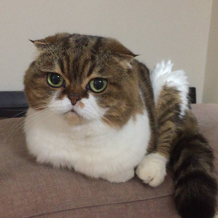 0ae6f89c 5995 474a 8886 5fae044ad5bc