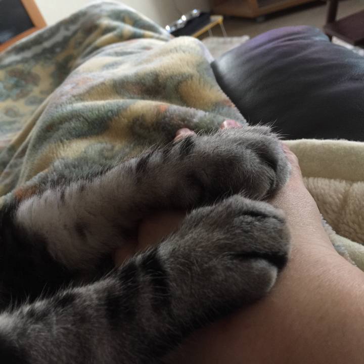 0ae7f435 c6f7 4654 9ac1 50905c9852dd